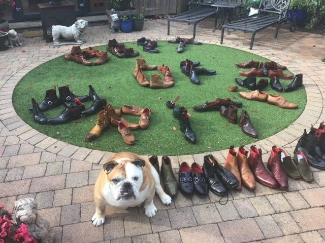 Dave Labrum- Britain at its best!